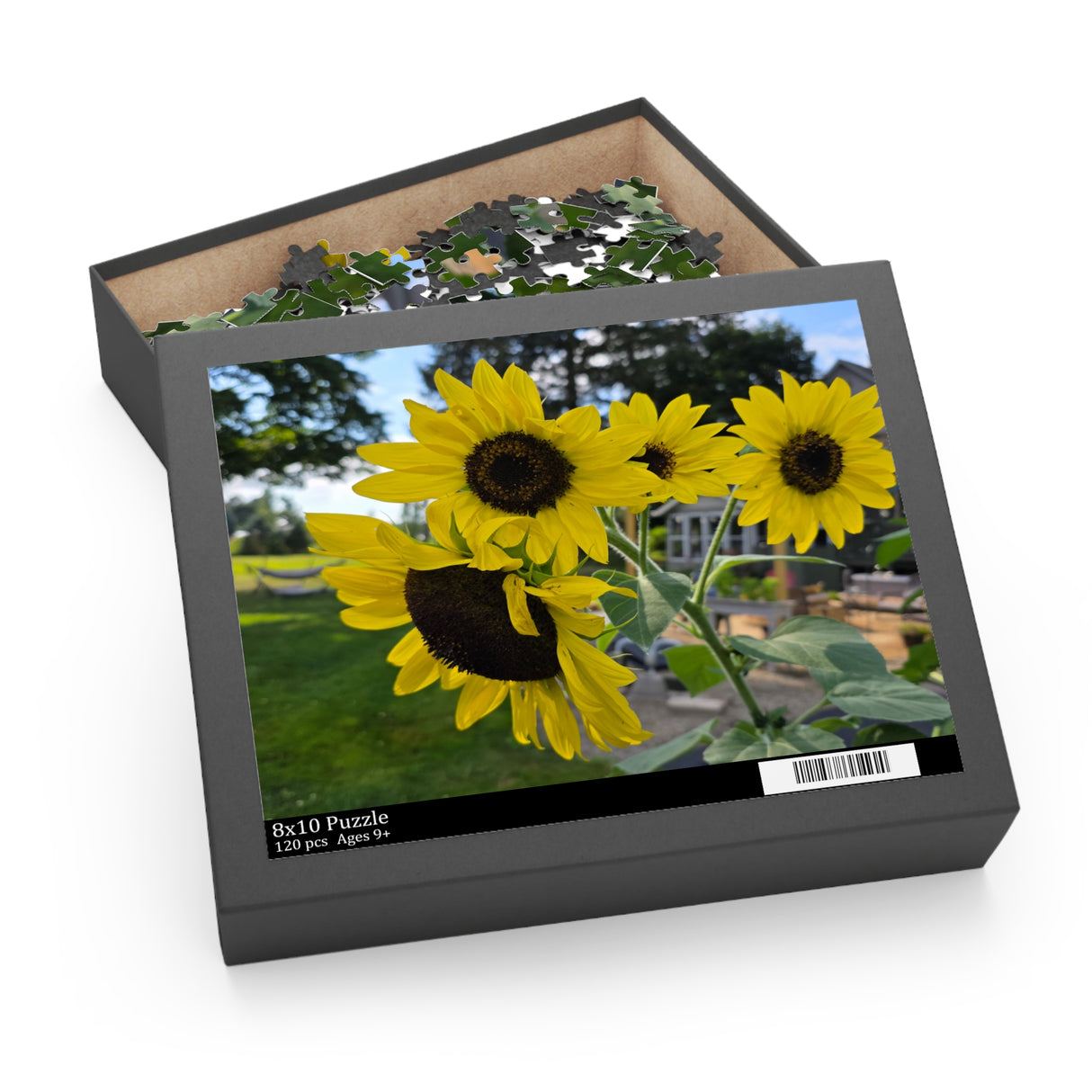 Puzzle (120, 252, 500-Piece)