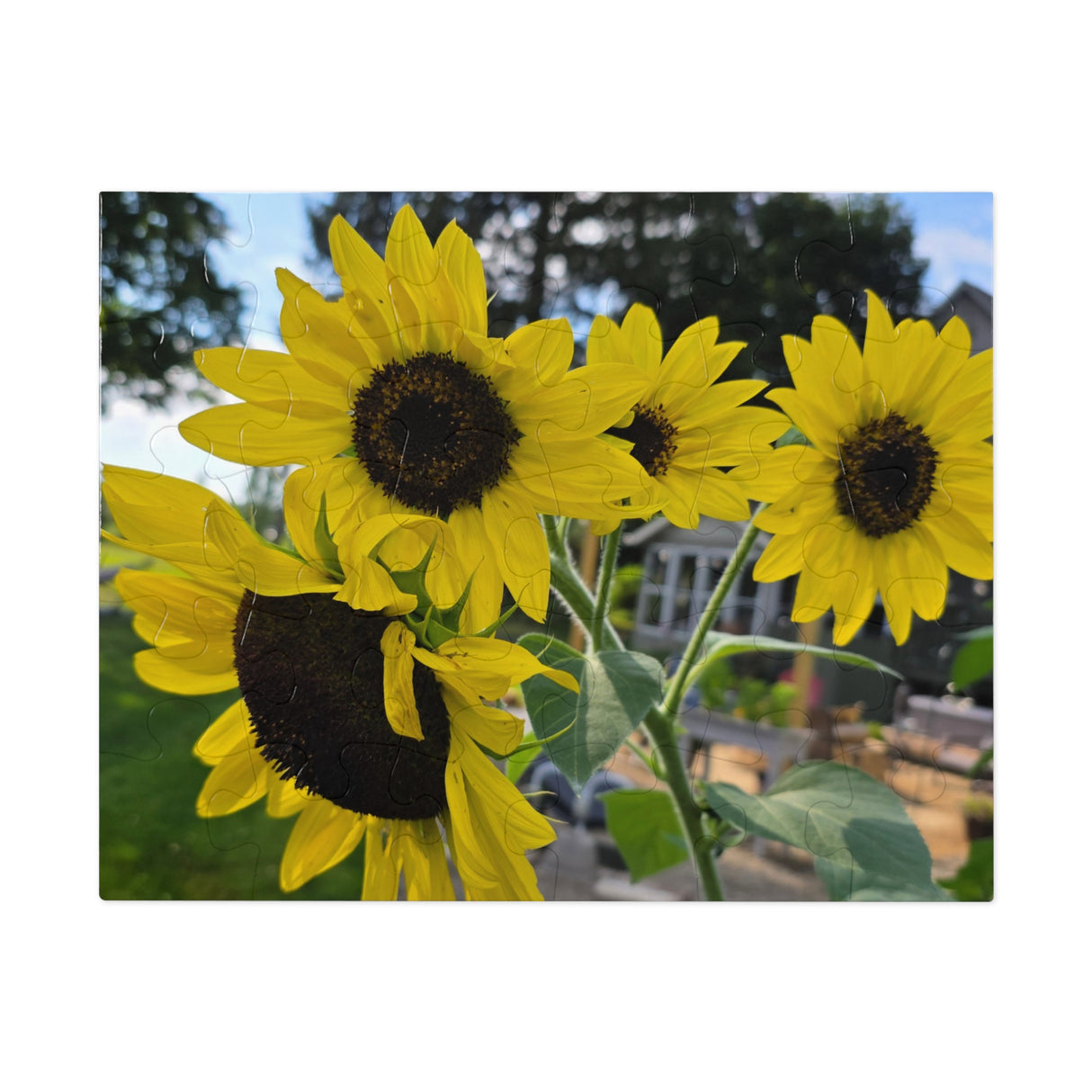 Jigsaw Puzzle with Tin