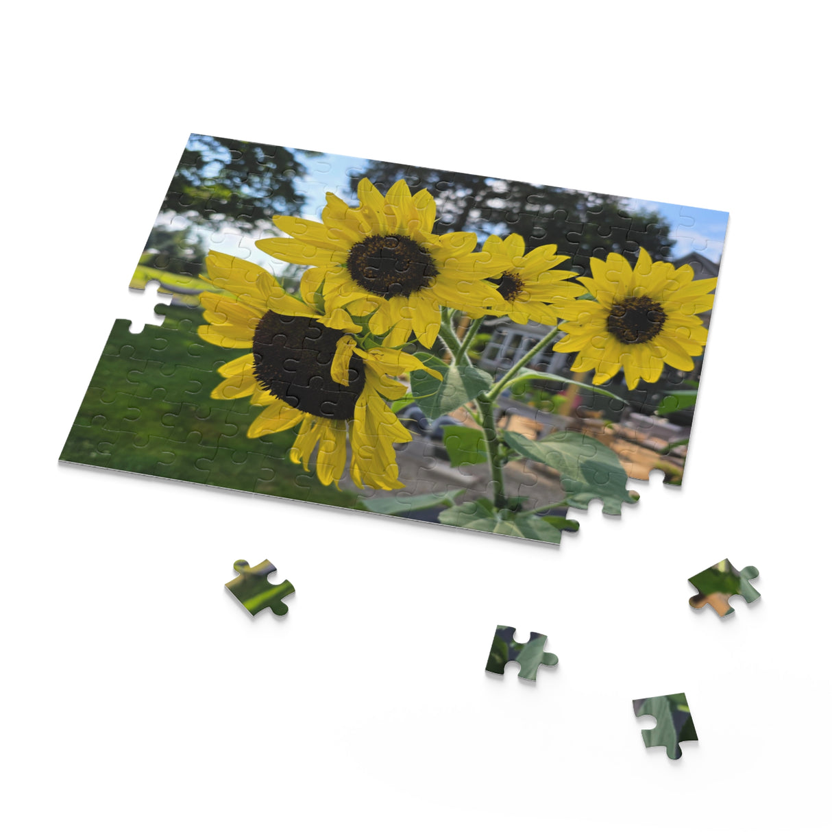 Puzzle (120, 252, 500-Piece)