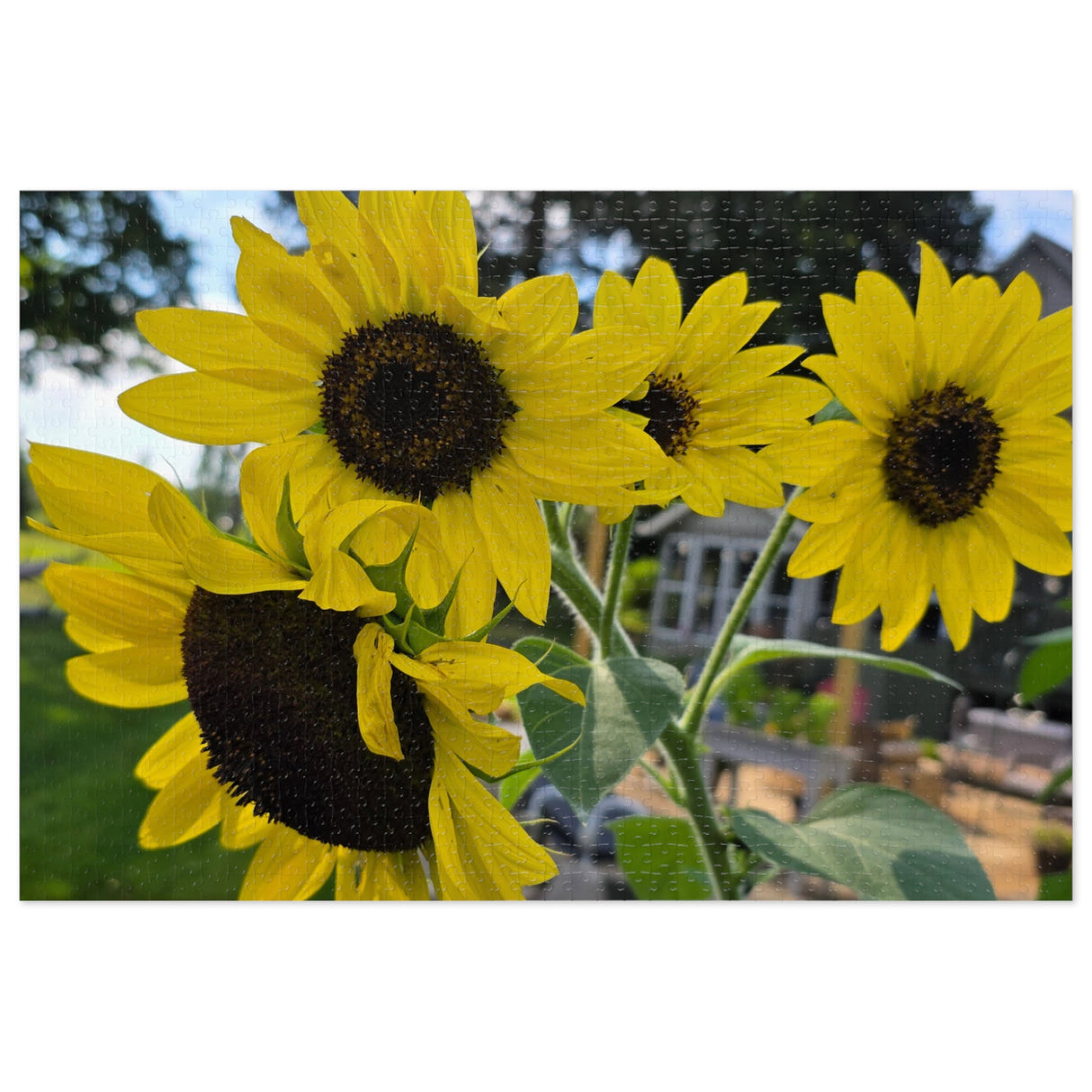 Jigsaw Puzzle with Tin