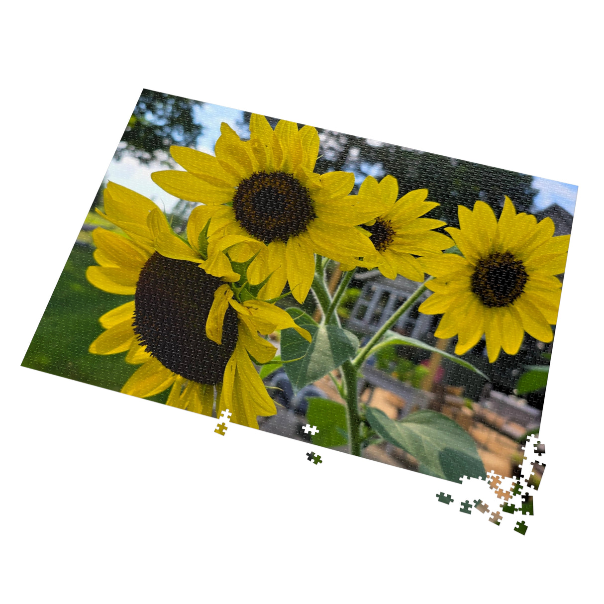 Jigsaw Puzzle with Tin