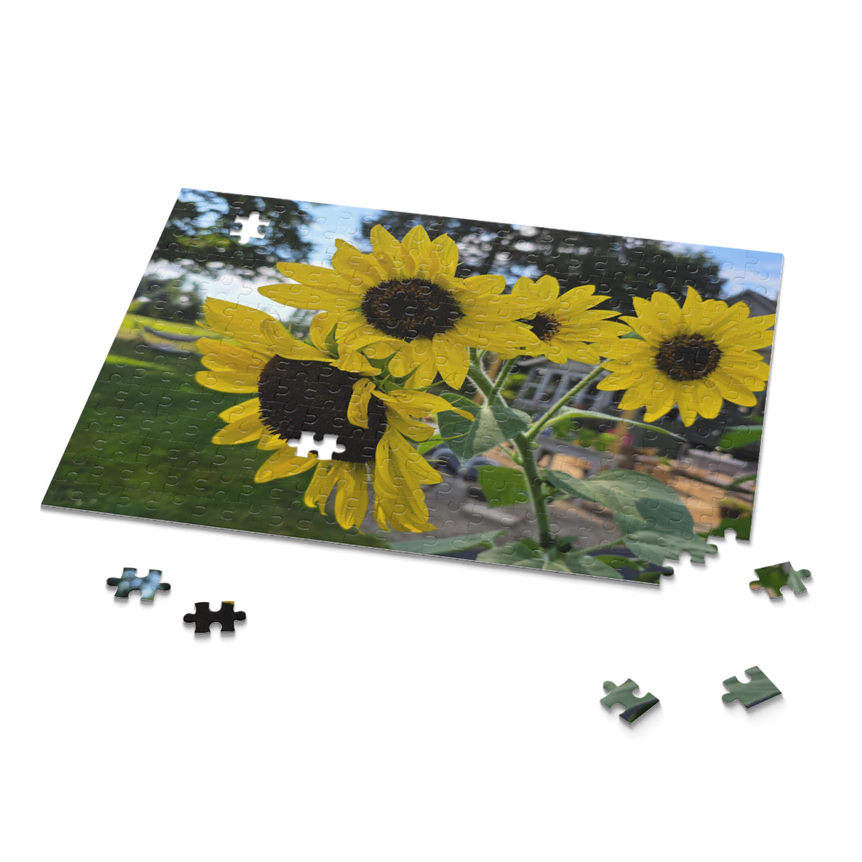 Puzzle (120, 252, 500-Piece)