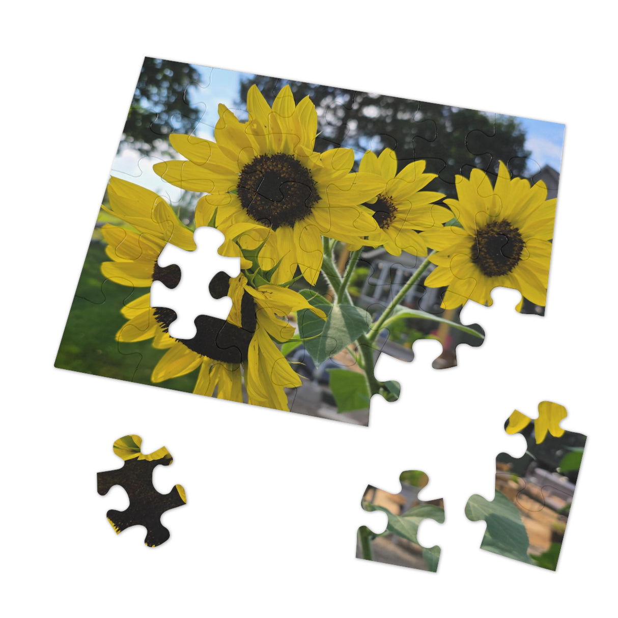 Jigsaw Puzzle with Tin