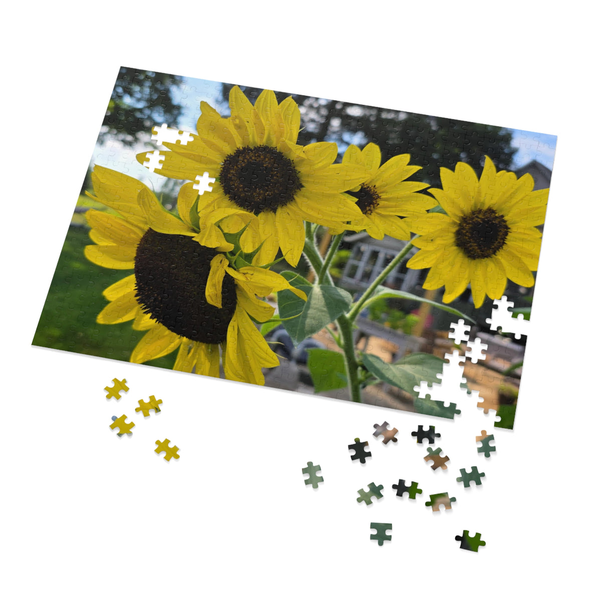 Jigsaw Puzzle with Tin