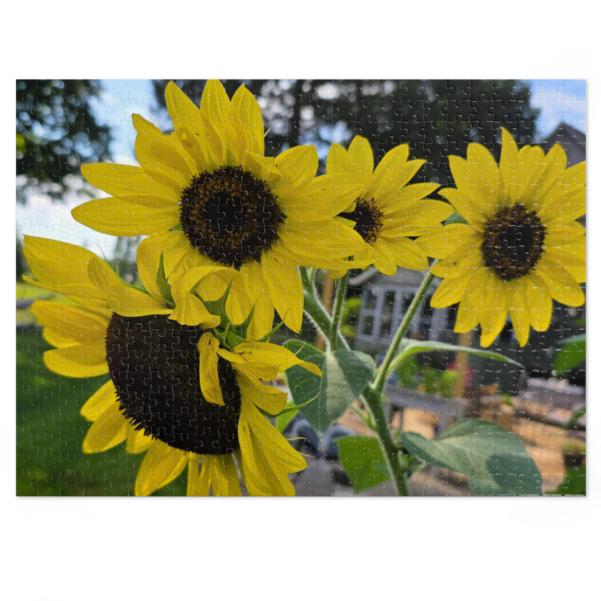 Jigsaw Puzzle with Tin