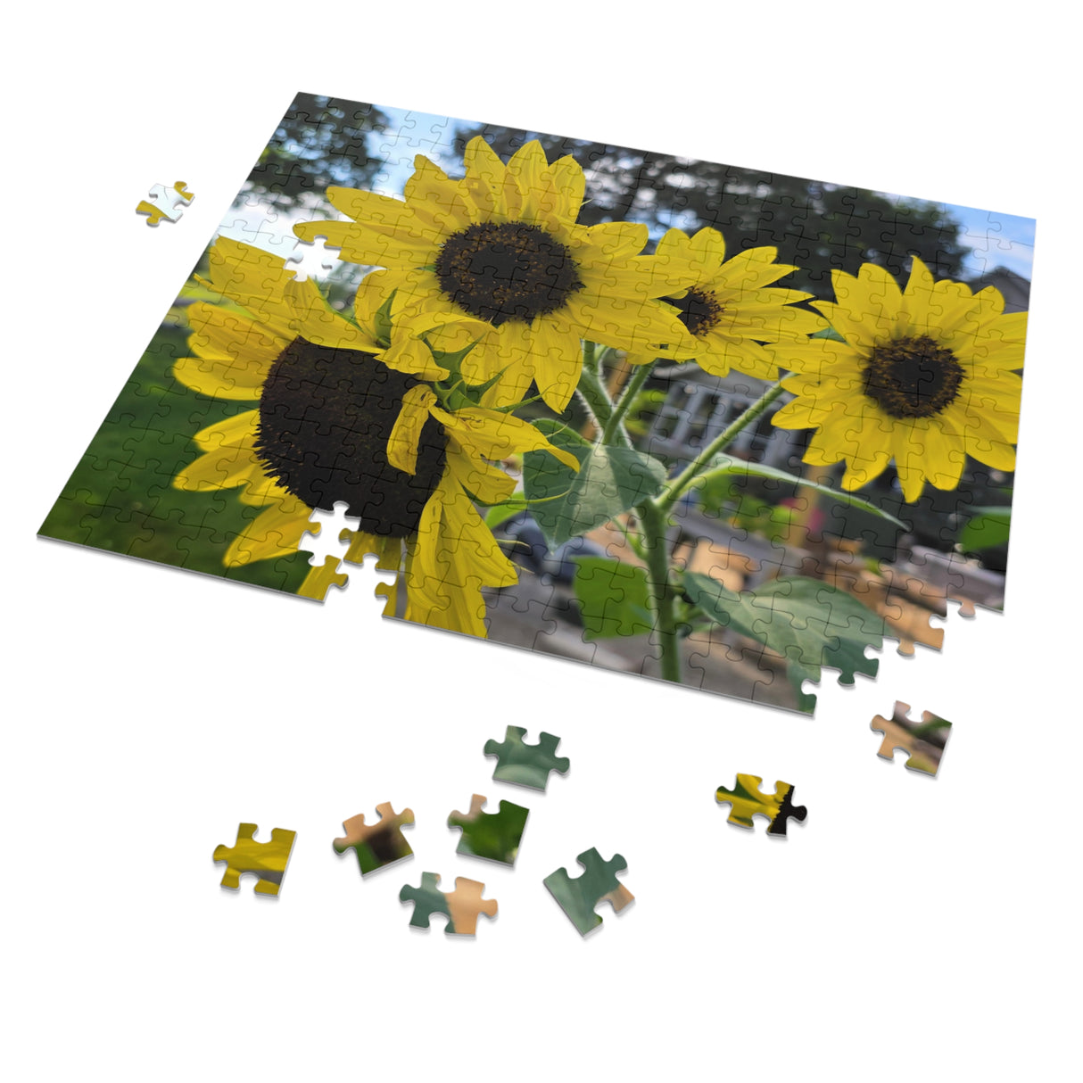 Jigsaw Puzzle with Tin