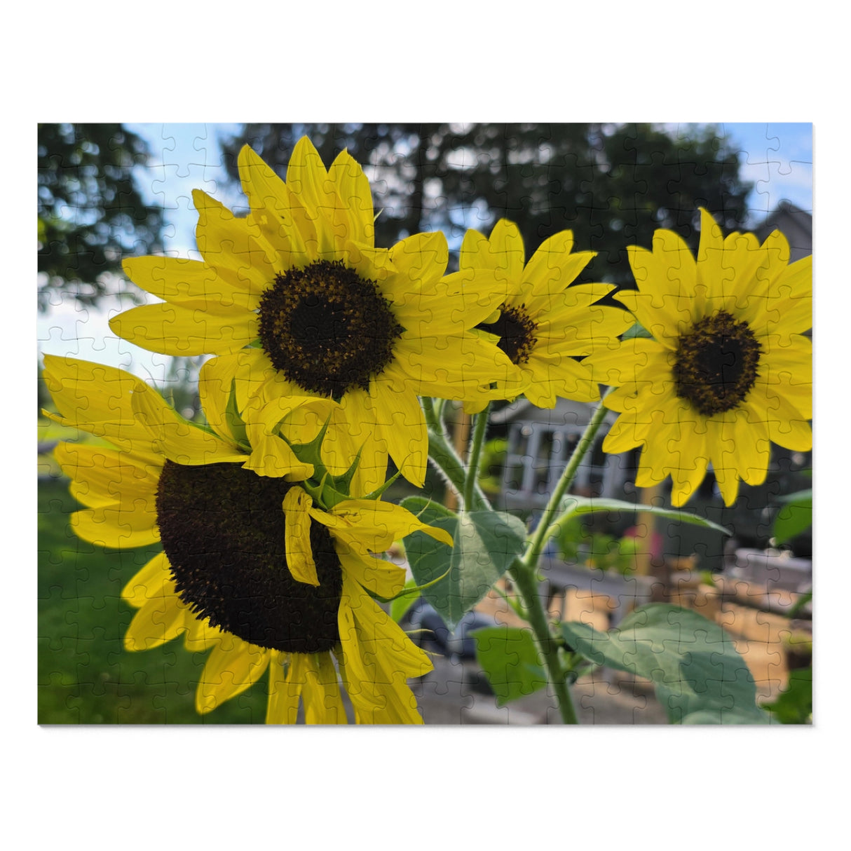 Jigsaw Puzzle with Tin