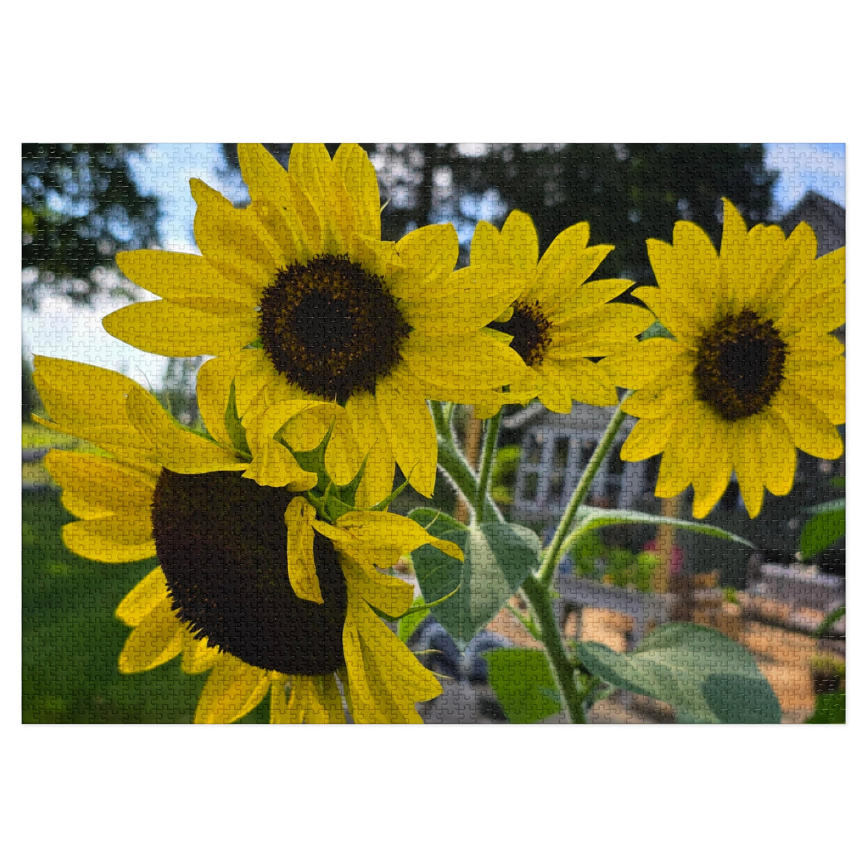 Jigsaw Puzzle with Tin