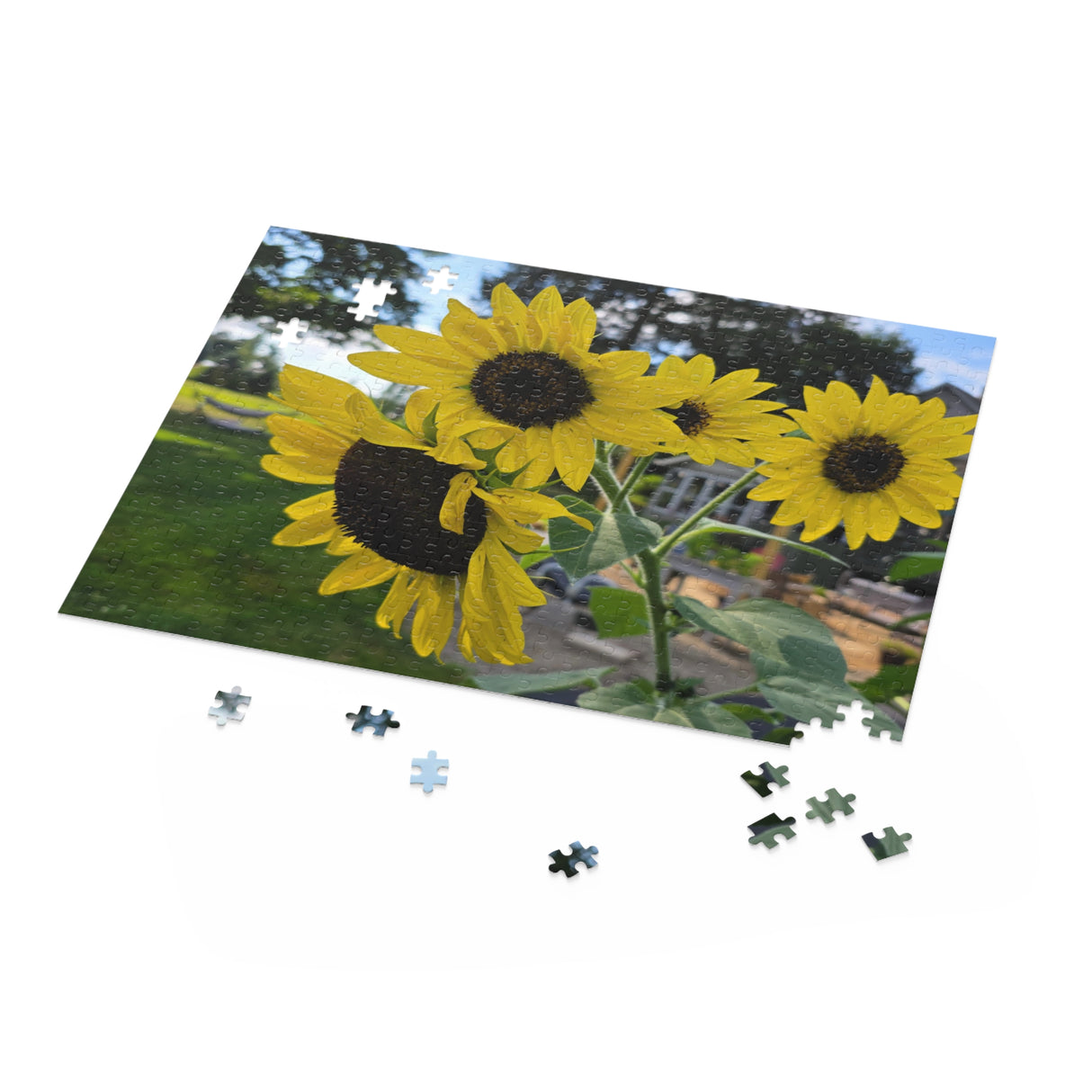 Puzzle (120, 252, 500-Piece)