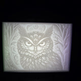 3D Printed Lithophane Night Light - Custom Requests Taken