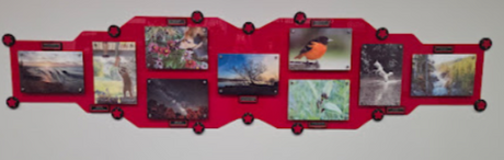 Custom Acrylic Signage example